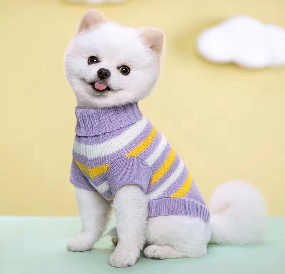Cozy Pup Sweater