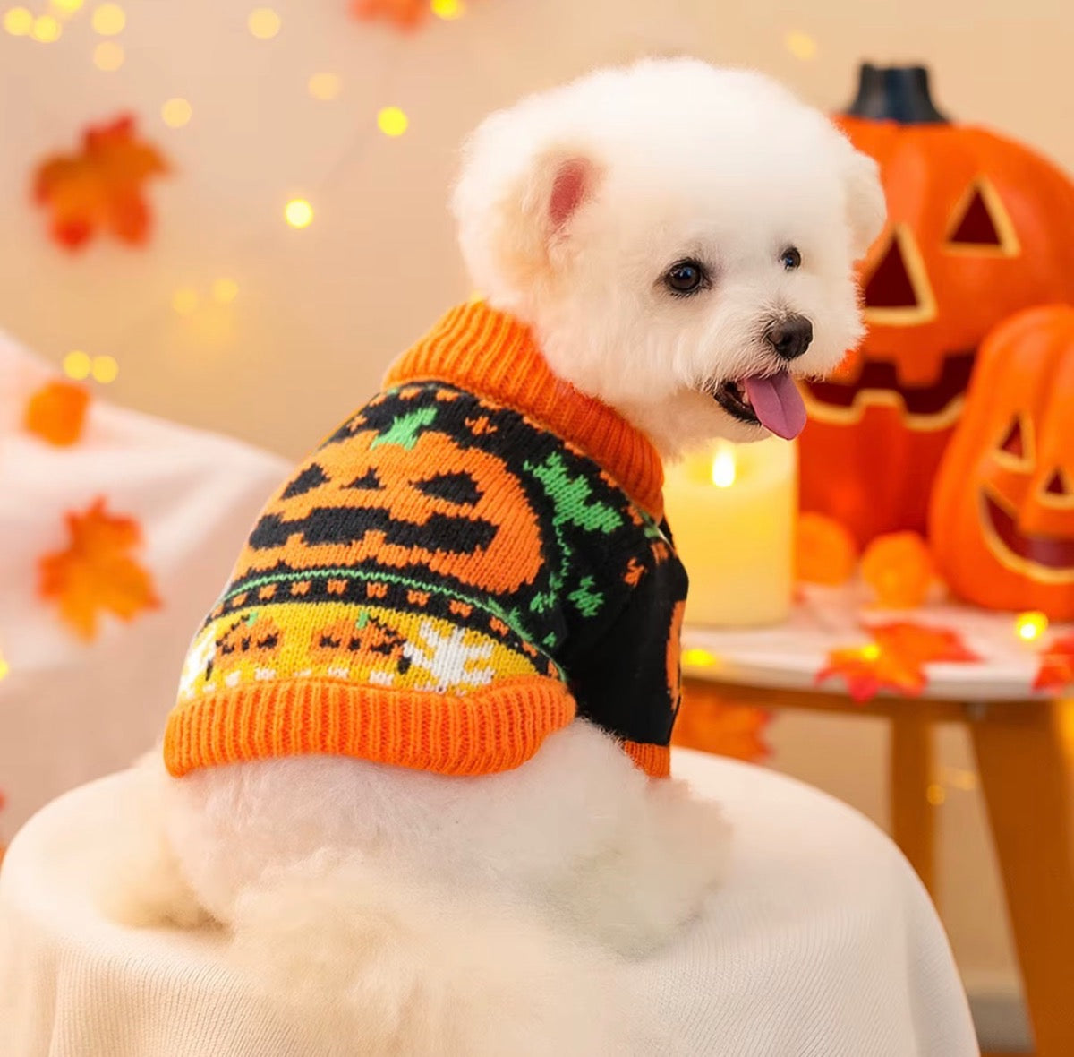 Seasonal Favorites
